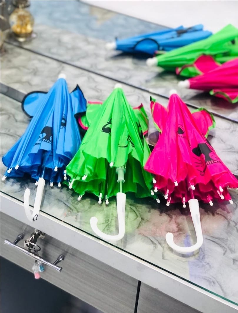 Small Kids Cartoon Umbrella - Image 2